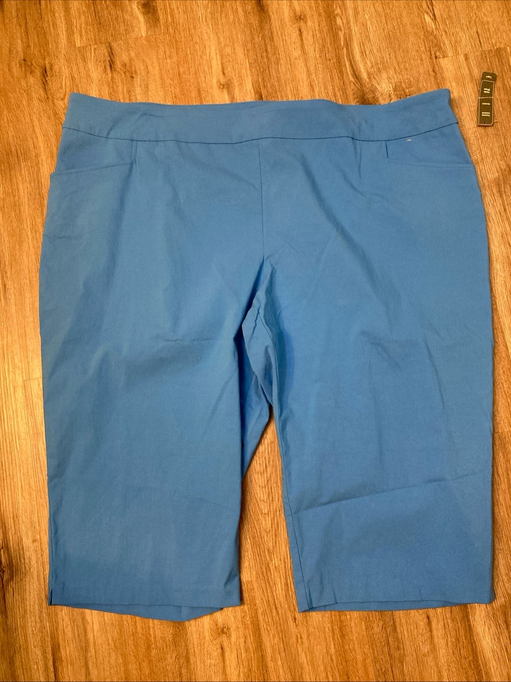 Terra & Sky Millennium Capri Whimsical Blue Tummy Control Stretch Size 4X NWT
